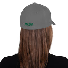 Load image into Gallery viewer, Living Dead Logo Flexfit Cap